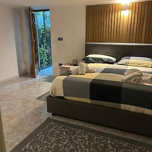 Maison 1 Chambre