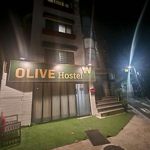 Olive Hostel W
