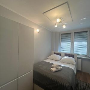 Lubmarex 1 Srebrna 6