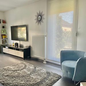 Robertsau, Jardin En Ville