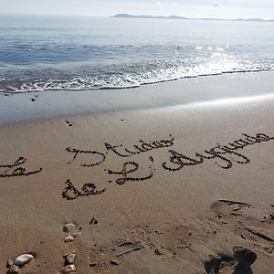 Le Studio De L'Ayguade - Plage A 100 M