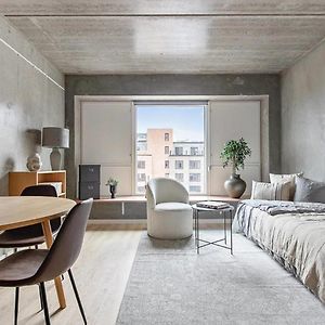 Tastefull And Modern Studio