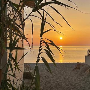 Studio Climatise Port Argeles: 3 Pers, Loggia, Parking, Plage & Commerces A Proximite - Fr-1-776-62