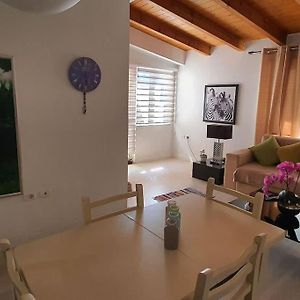 Umana Apartment - Stylish & City Center