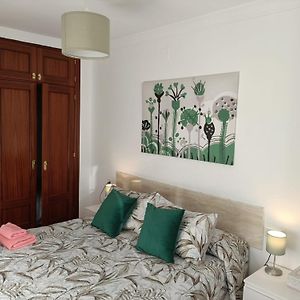 Apto Ana. Malaga Centro
