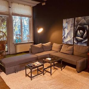 Spacious Duplex With Terrace In The Middle Of The Center