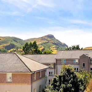 Arthur'S Seat Nest