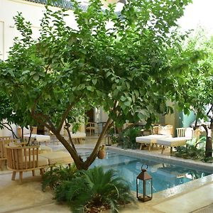 Riad Emberiza Sahari