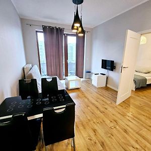 First -- Green Zoliborz Apartment 4