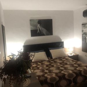 Cozzy Cottage, In Center Of Tirana