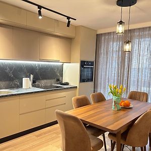 Spacious Fancy Apartment