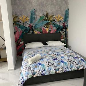Maison 1 Chambre