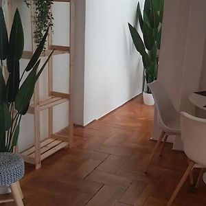 Cozy Flat Near Kazinczy Downtown