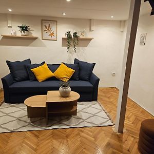 Cozy Downtown Apartment