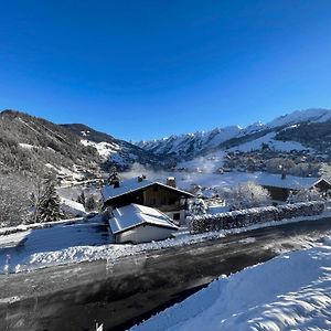 Richemont 12 - Duplex proche pistes vue