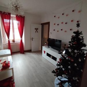 Charmant Appartement De 3 Pieces, Colmar