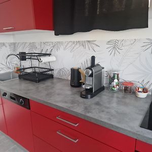 Joli T2 Cosy Avec Jardin Privatif