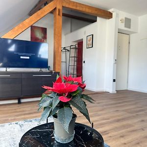 Appartement Studio