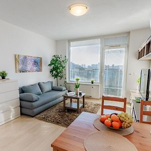 Sunny Apartment With Amazing Terrace On The 13Th Floor Near City Center