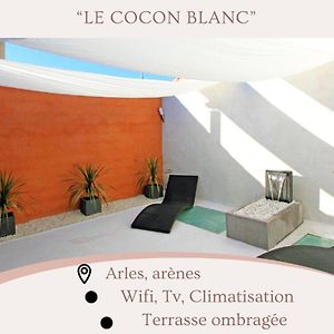 Le Cocon Bianco Arles Centre