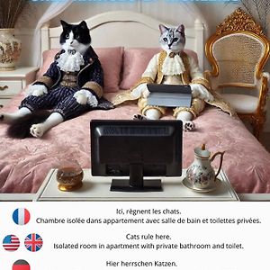 Chez Ramses Et Richelieu
