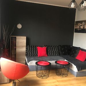 Apartament Mozarta