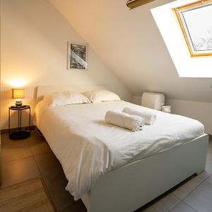 Le Quai De Prague - Cosy - Central - Loire - Parking Gratuit Dans La Rue