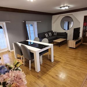 Grand Appartement Coeur De Ville Dijon