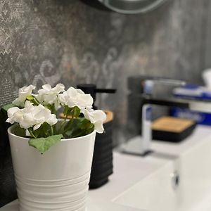 Plumbird Boutique&Apartment