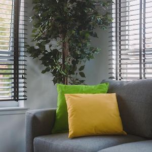 Appartement Rez-de-Chaussée