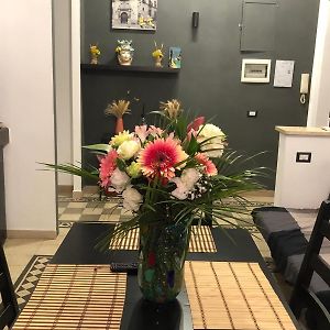 Appartement Supérieur