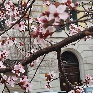 Home Rome Borsieri