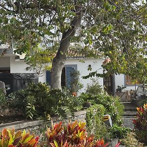Casa Das Flores Funchal