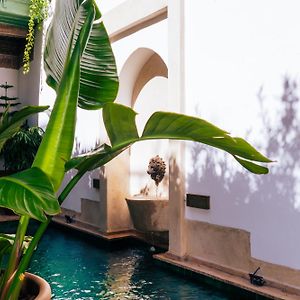 Riad Dar Dounia