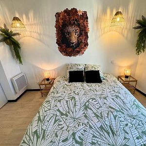 Jungle - Vue - Clim - Wifi