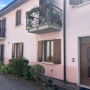 Bee Home In Verona