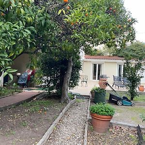 Chez Nicole