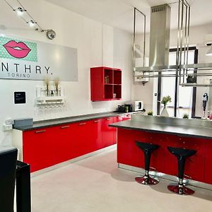 Appartement Standard