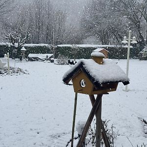 Studio Mit Blick Ins Gruene