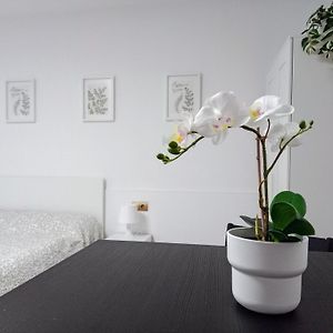 Hermoso Estudio Centro De Malaga
