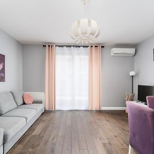 Lubicz Urban Haven Apartment