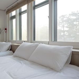 Manso Hostel In Ddp