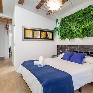 Appartement Loft 1 Chambre