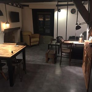 T3 duplex industriel hyper centre ville historique