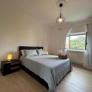 Anna'S Apartment