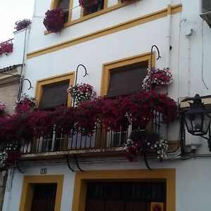 Maison 3 Chambres