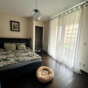 En Suite Room With A Garden