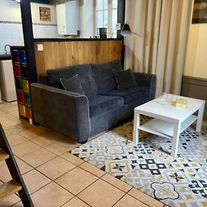 Appartement Le Cadet Roussel Auxerre Les Quais