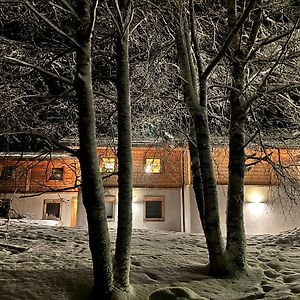 Grand chalet Le Trappeur - Chamonix