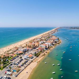 Faro Deluxe By Homing